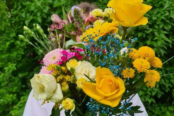 Månadens poet: Karin Jansdotter