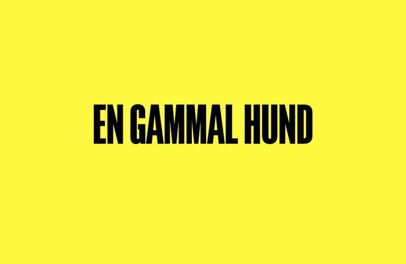 Text med ordet "En gammal hund" centrerat på gul bakgrund